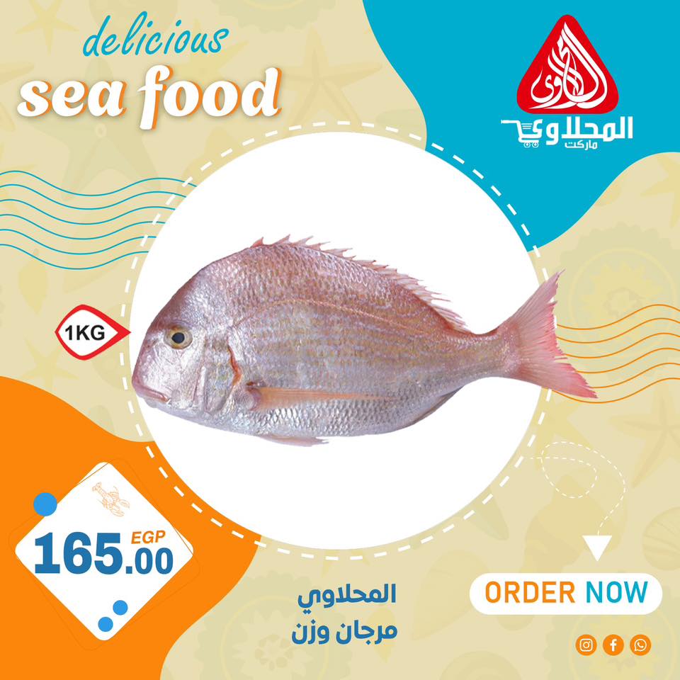 el-mahallawy offers from 17jul to 1jun 2025 عروض المحلاوي من 17 يوليو حتى 1 يونيو 2025 صفحة رقم 1